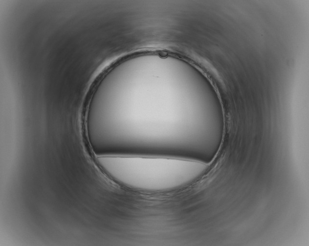 X0000111461412200907131209