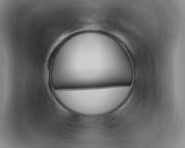 X0000111461414200907131209