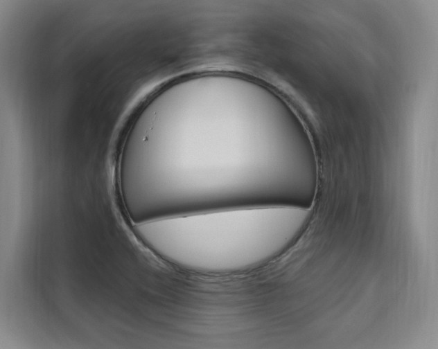 X0000111461416200907131209