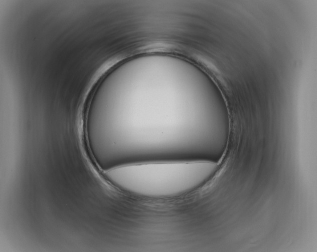 X0000111461418200907131209