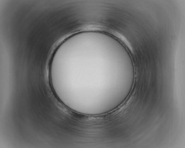 X0000111461419200907131209