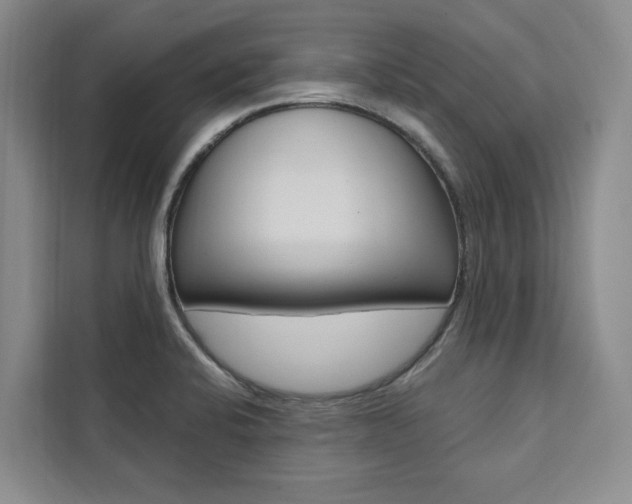 X0000111461424200907131209