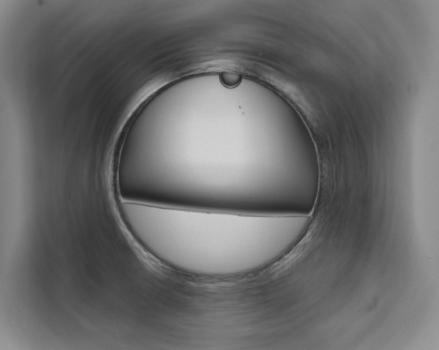 X0000111461426200907131209