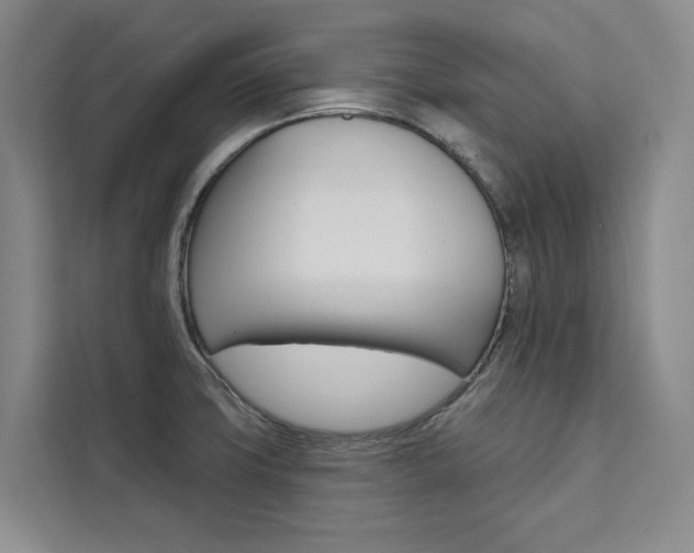X0000111461427200907131209