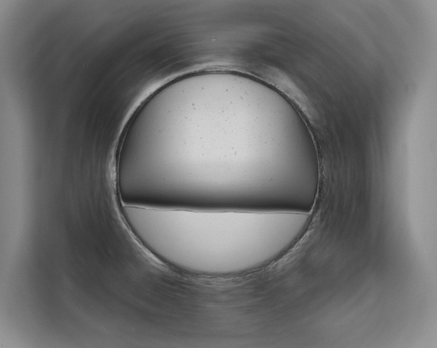 X0000111461428200907131209