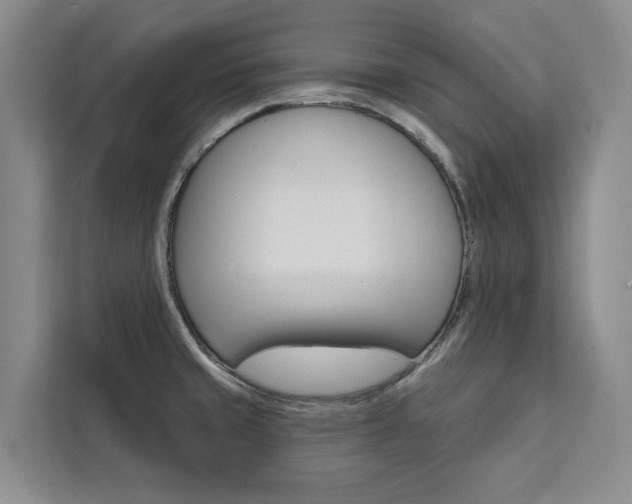 X0000111461429200907131209