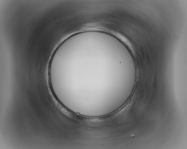 X0000111461431200907131209