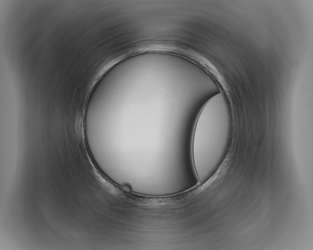 X0000111461433200907131209