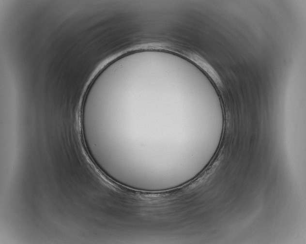 X0000111461436200907131209