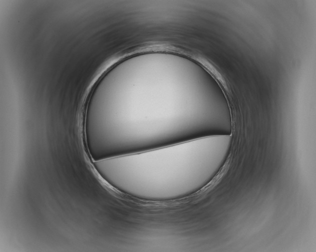 X0000111461438200907131209
