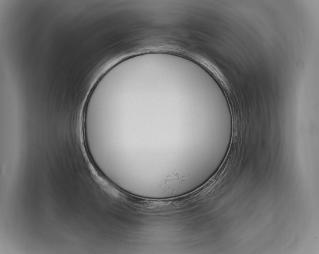 X0000111461439200907131209