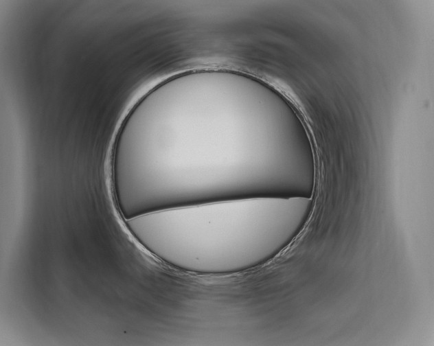 X0000111461440200907131209