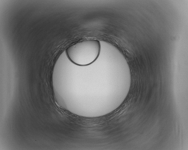 X0000111461441200907131209