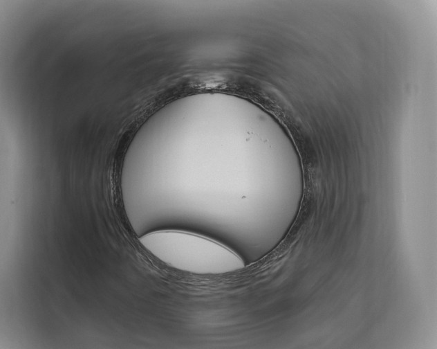 X0000111461442200907131209
