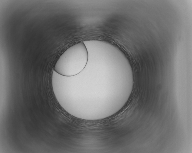 X0000111461443200907131209