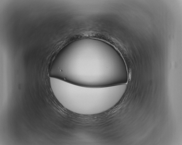 X0000111461444200907131209