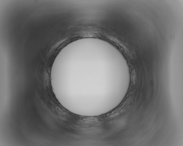 X0000111461446200907131208