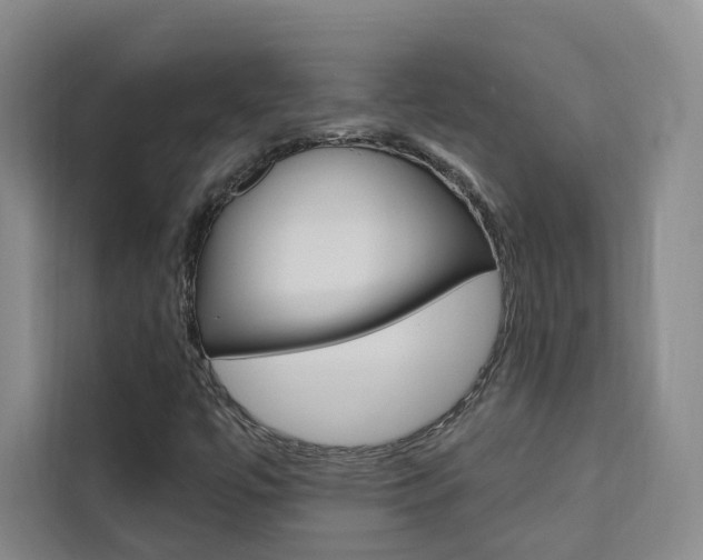 X0000111461447200907131208