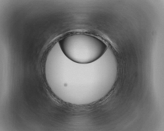 X0000111461448200907131208