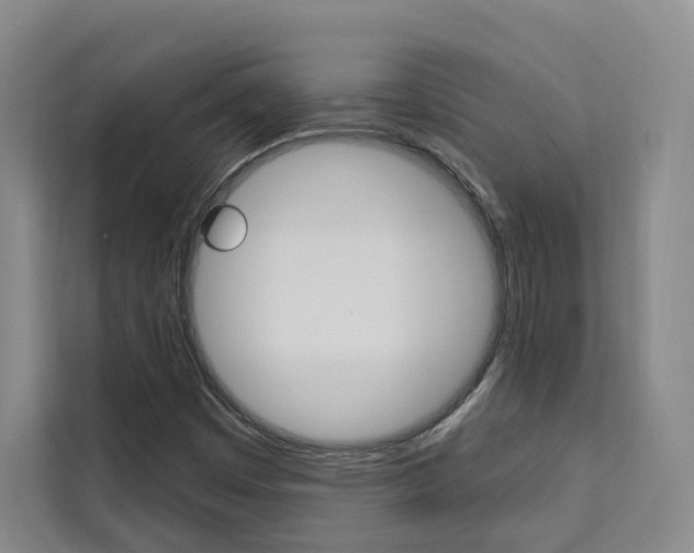 X0000111461449200907131208