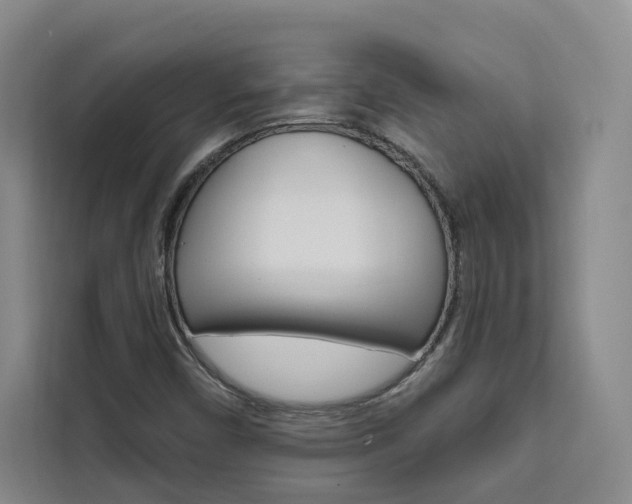 X0000111461450200907131208