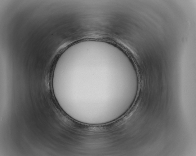 X0000111461451200907131208