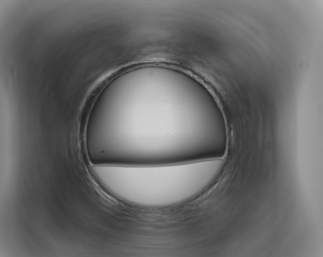 X0000111461452200907131208