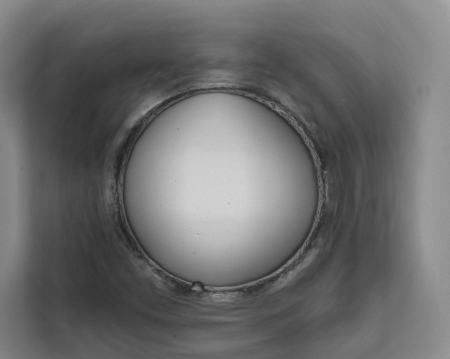 X0000111461453200907131208