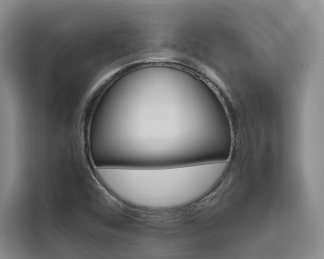 X0000111461456200907131208