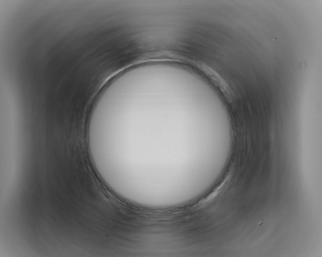 X0000111461457200907131208