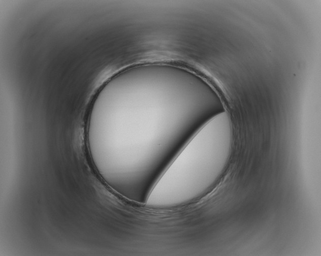 X0000111461459200907131208
