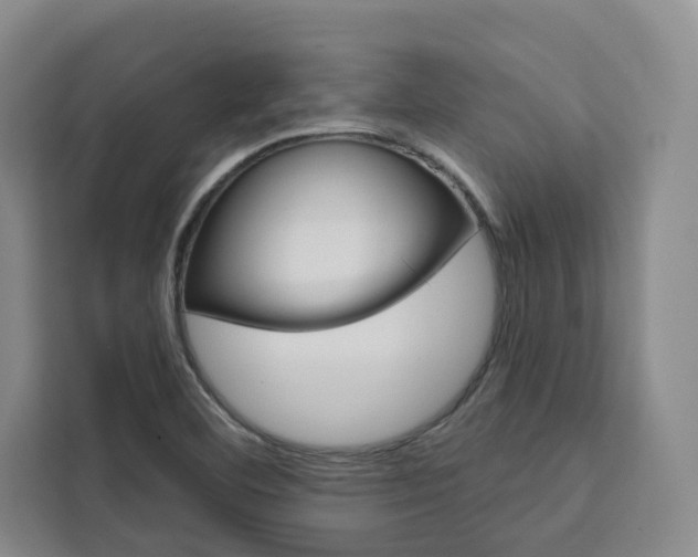 X0000111461460200907131208
