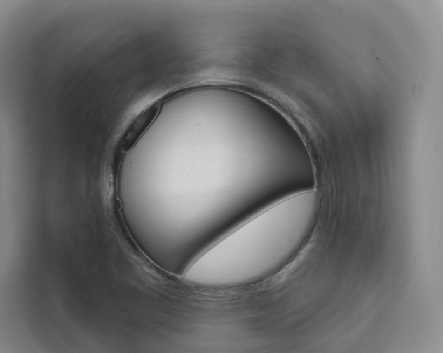 X0000111461461200907131208