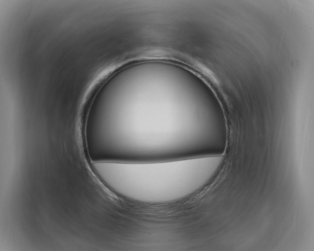 X0000111461464200907131208
