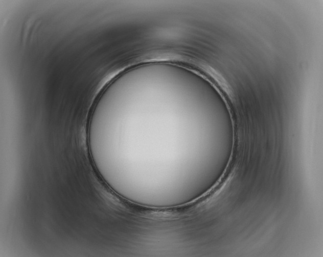 X0000111461465200907131208