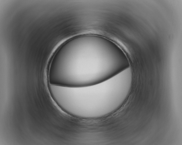 X0000111461468200907131208