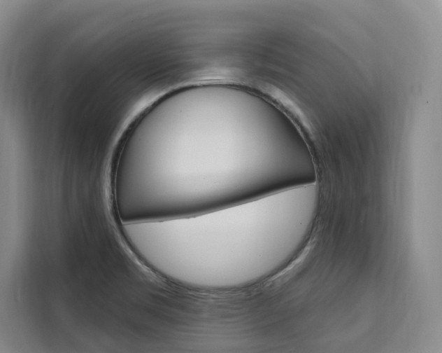 X0000111461469200907131208