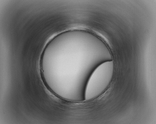 X0000111461471200907131208