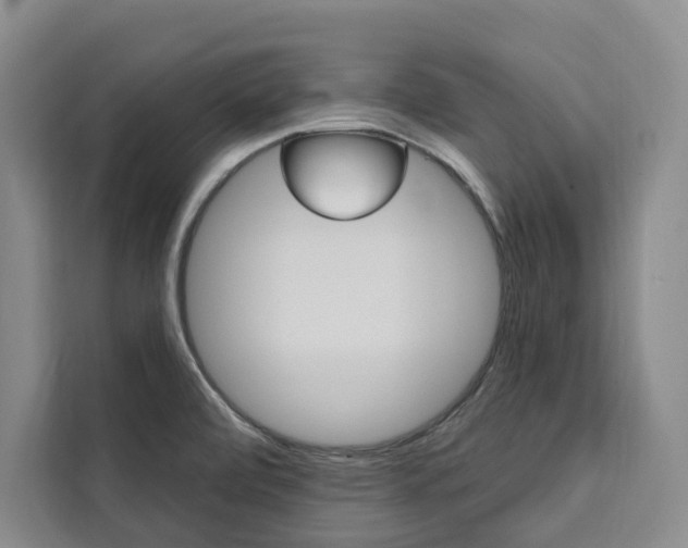 X0000111461472200907131208