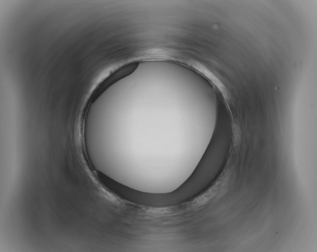 X0000111461477200907131208