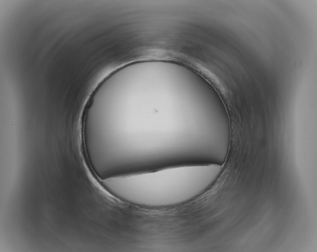 X0000111461479200907131208