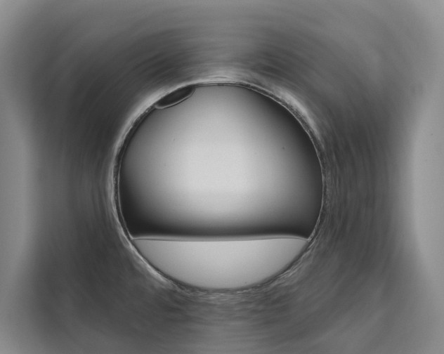X0000111461480200907131208