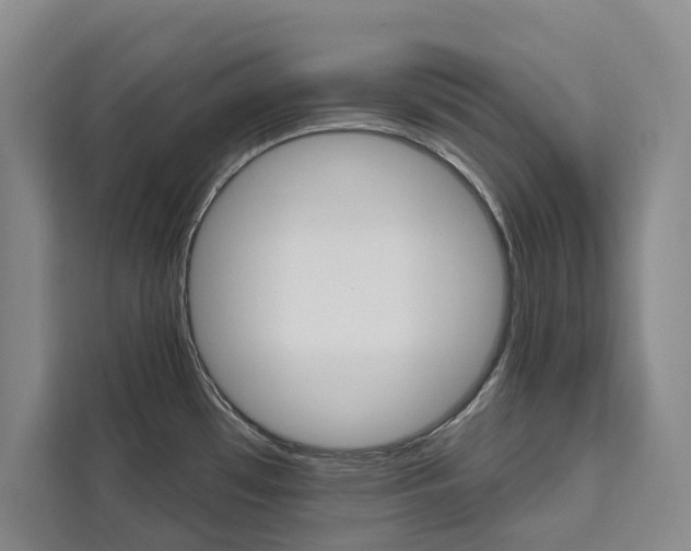 X0000111461481200907131208