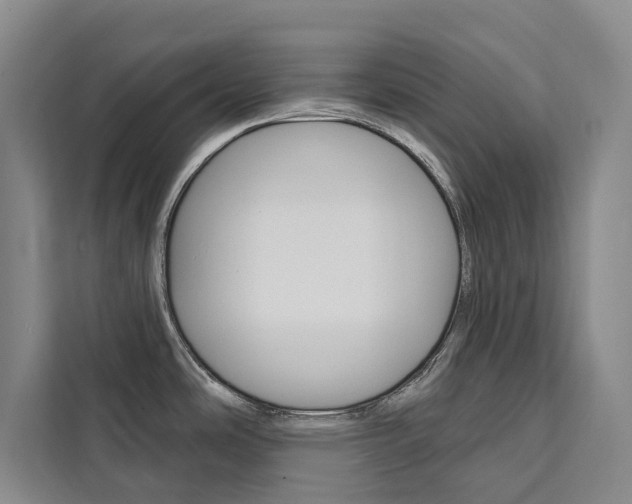 X0000111461486200907131208