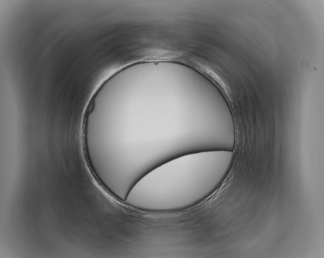 X0000111461487200907131208