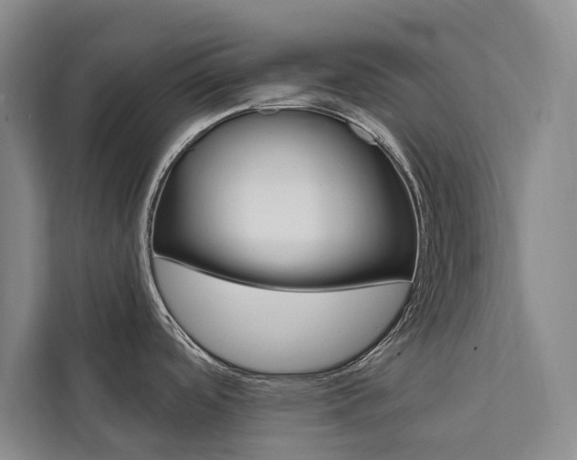 X0000111461488200907131208