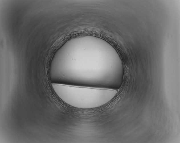 X0000111461489200907131207