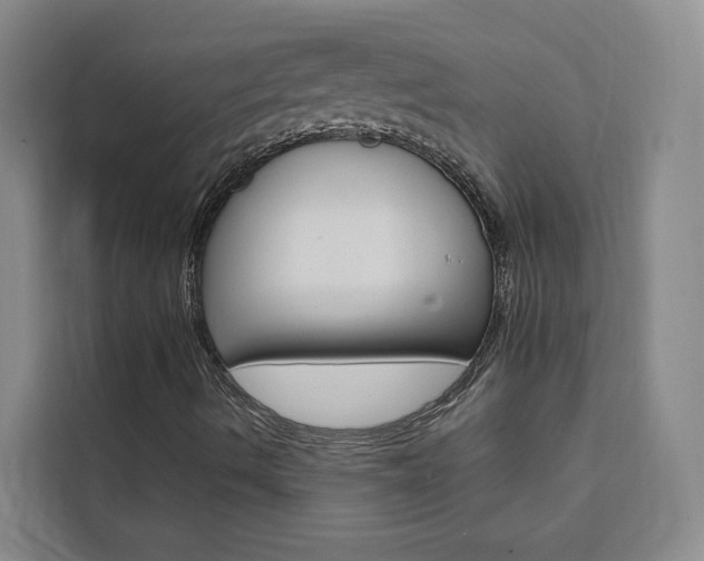 X0000111461490200907131207