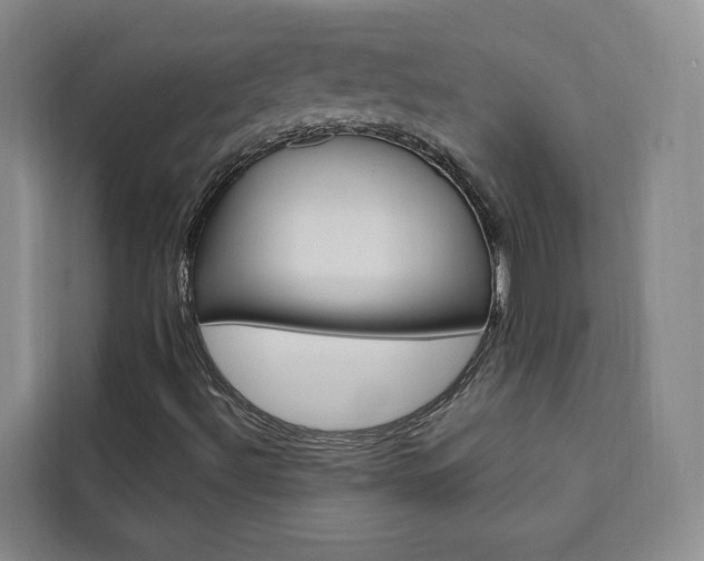 X0000111461492200907131207