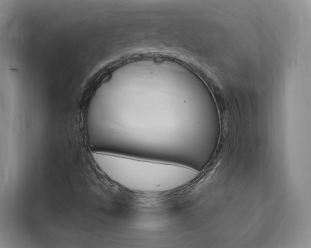 X0000111461494200907131207
